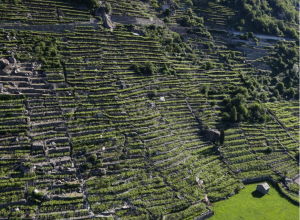 Vins Extrêmes - Forte di Bard
