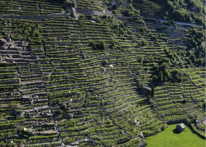 Vins Extrêmes - Forte di Bard