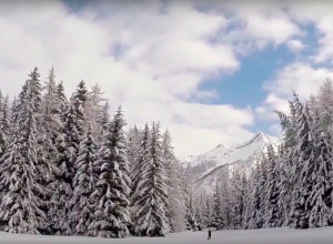 La pista da sci che da Cogne porta a Lillaz