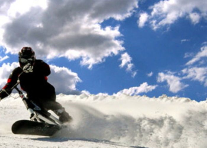 Lo snowx
