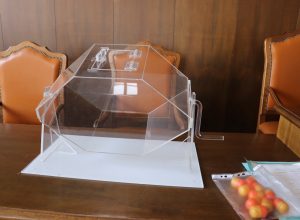 sorteggio liste elezioni