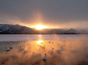 Ph. Stefano Unthertiner - “Gli angeli dell’inverno”