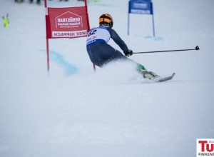 Telemark