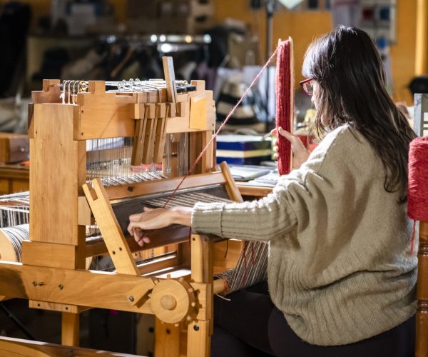 tessitura partecipata - Mo'delaine
