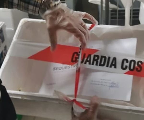 I controlli della Guardia costiera