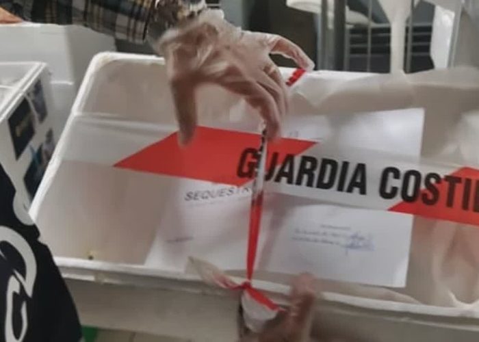 I controlli della Guardia costiera