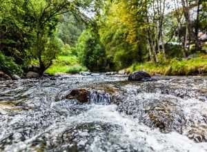 torrente acqua