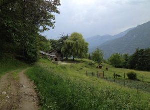 Tour della Valmeriana - Trail