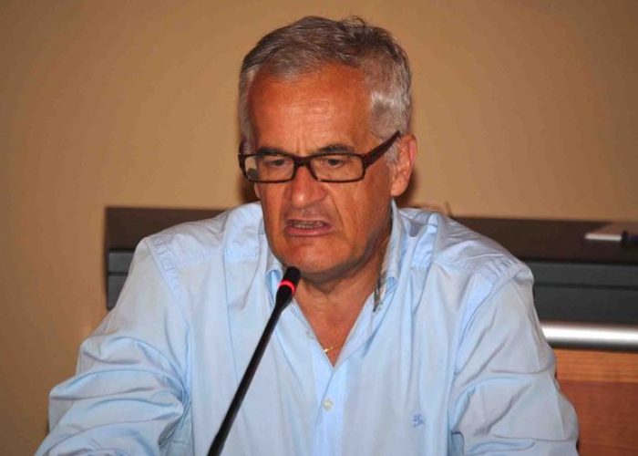 Riccardo Trisoldi, Presidente di Telcha