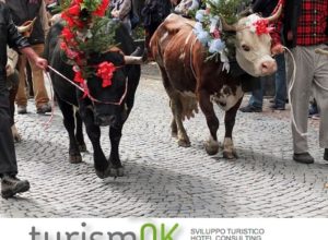 Turismok