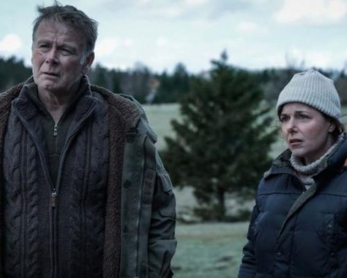 un ours dans le jura