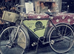 Pinsette bike
