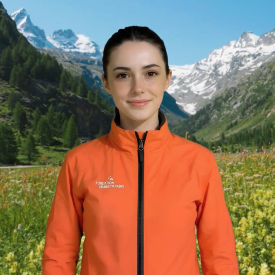 Sibilla del Gran Paradiso