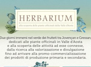 Herbarium