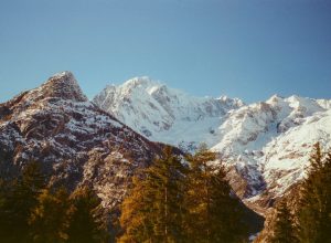 val ferret @luca maledet