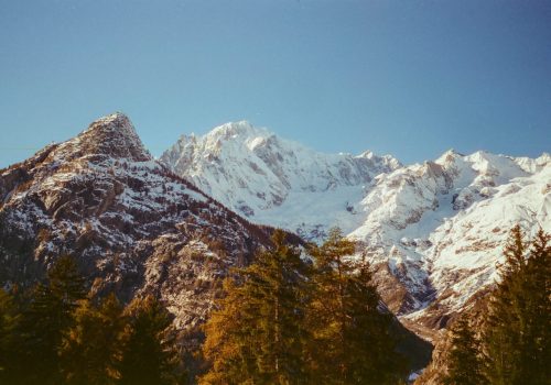 val ferret @luca maledet