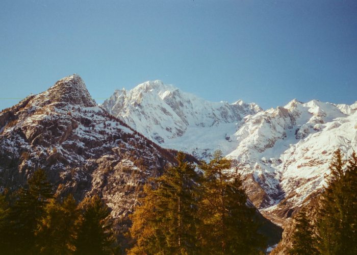 val ferret @luca maledet