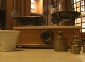 Alla scoperta della flora delle Alpi