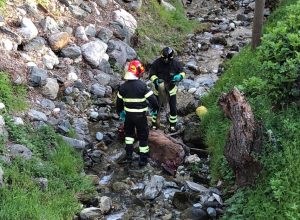 vigili del fuoco recupero cervo