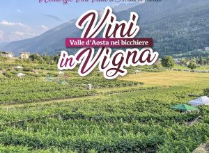 vini in vigna