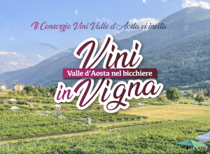 vini in vigna