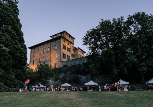 vini in vigna