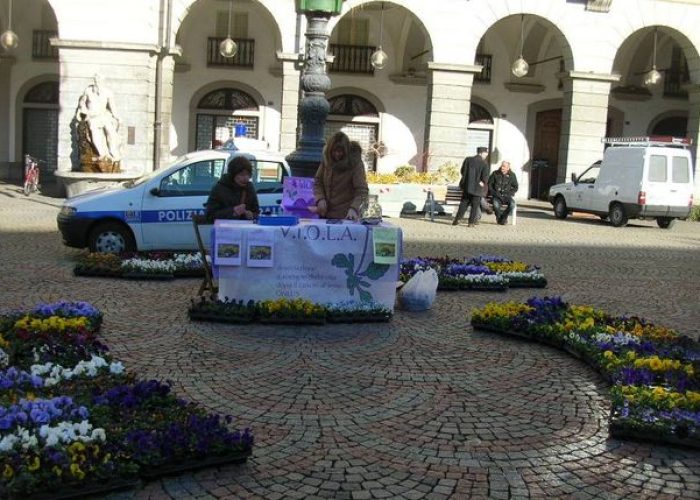 Il banchetto di Viola in piazza Chanoux