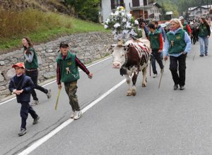 Désarpa a Valtournenche