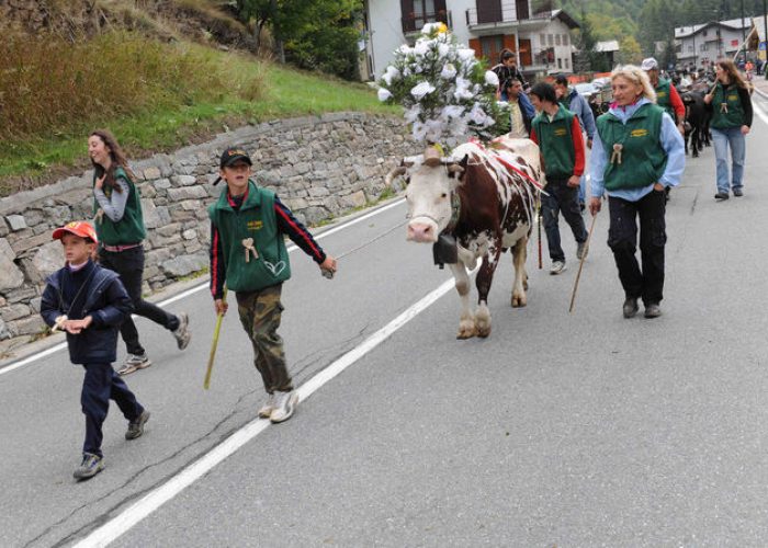 Désarpa a Valtournenche